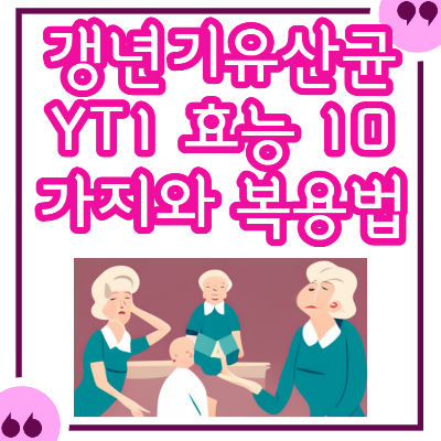 갱년기 유산균 YT1