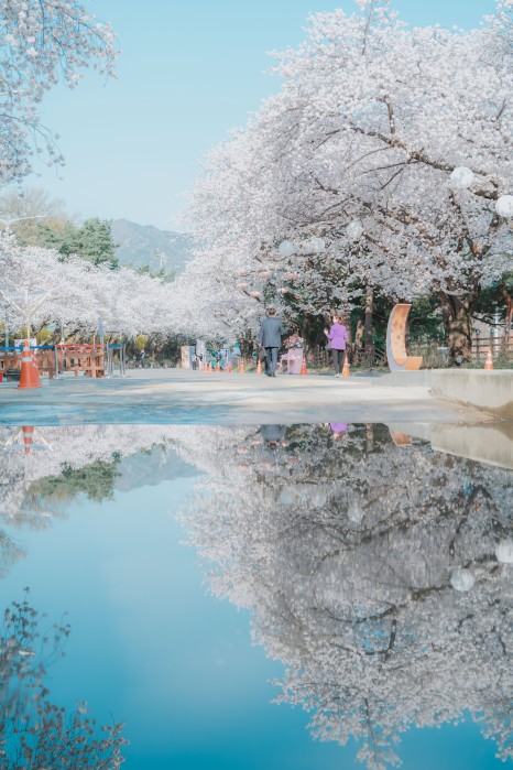 렛츠런파크