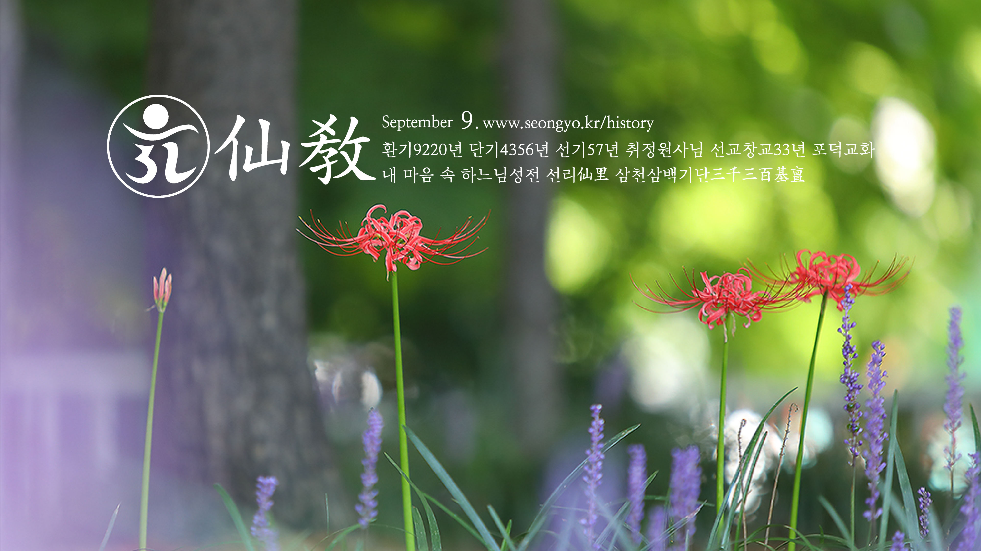 선교연혁, 선교창교, 선교창시, 선교 수행, 선교 기도, 선교의 역사, 포덕교화