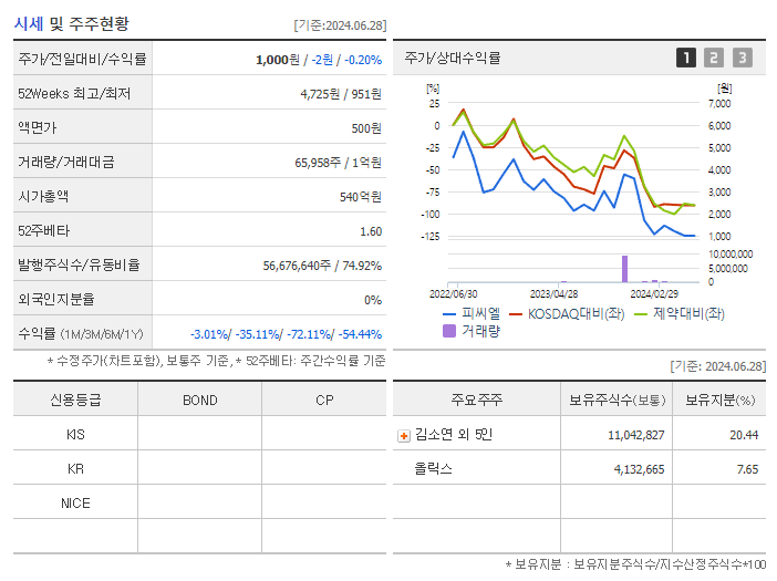 피씨엘_기업개요