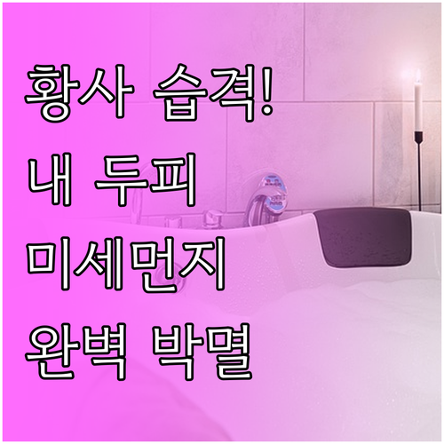 황사철 두피 건강 관리법과 미세먼지 ..