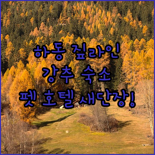 하동 짚라인 근처 숙소 추천 및 반려..