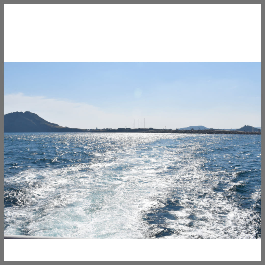 선상낚시-낚싯대선택하기