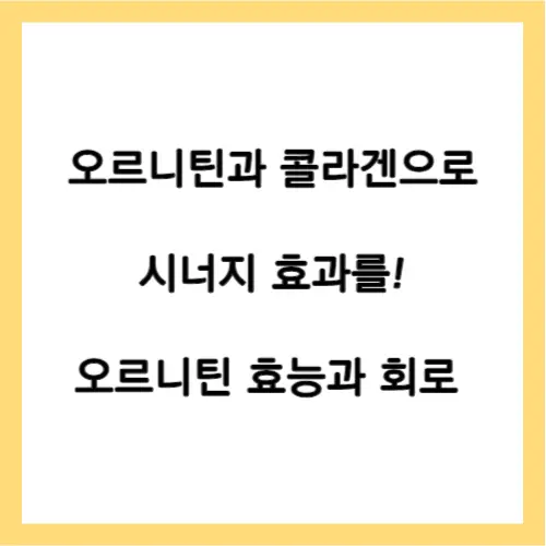 오르니틴 효능