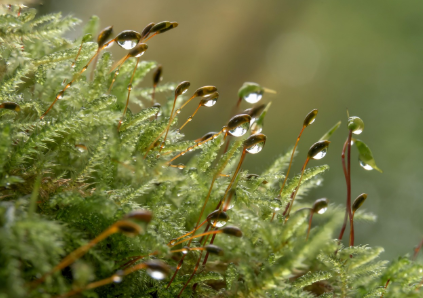 부산 지역 생활지원 정책 총정리
