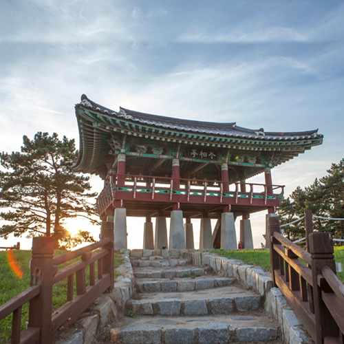 서천마량리 동백나무숲