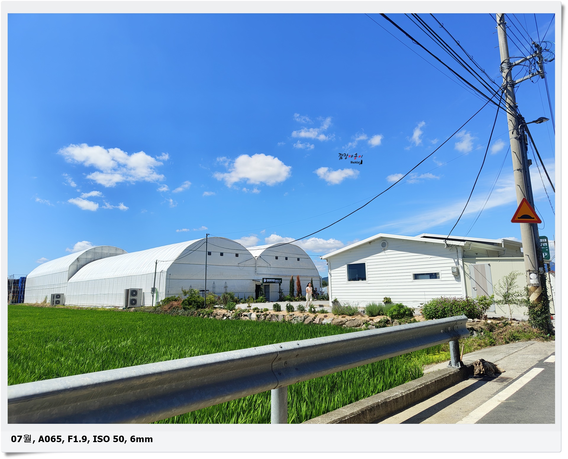 김해 신상카페, 식물과 파충류가 있는 열대우림 체험농장 방문후기