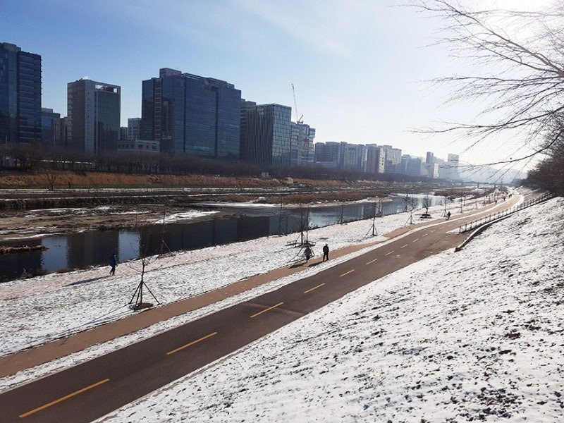 안양&middot;군포 반려견 산책 어디가 좋을까? 겨울에도 걷기 좋은 명소 추천