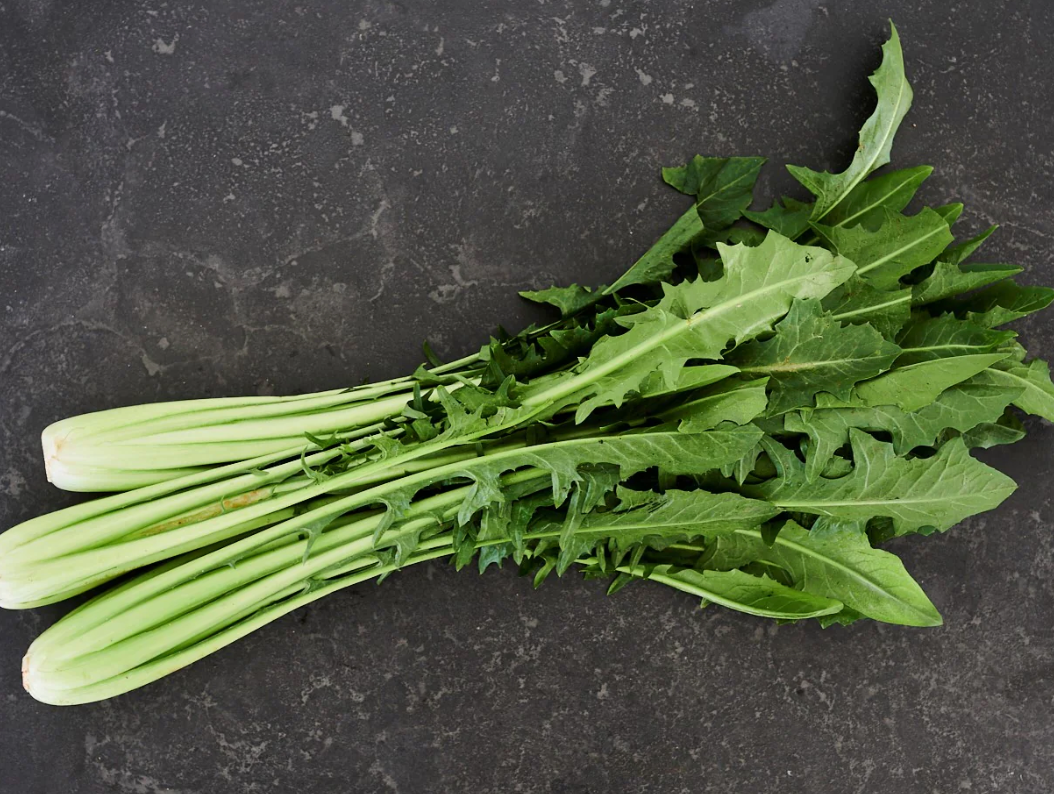 치커리 보관방법