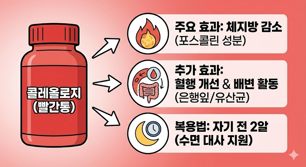 빨간통(콜레올로지)