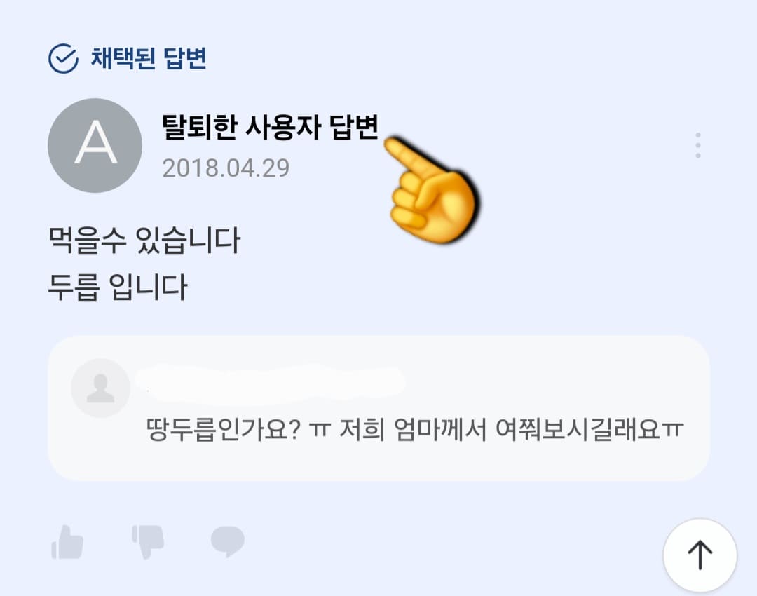 네이버지식인-꽃이름질문-예시-다행히-답변이-달리긴-했는데요.-“먹을-수-있습니다.-두릅입니다.”라는-간단한-답변을-받았습니다.