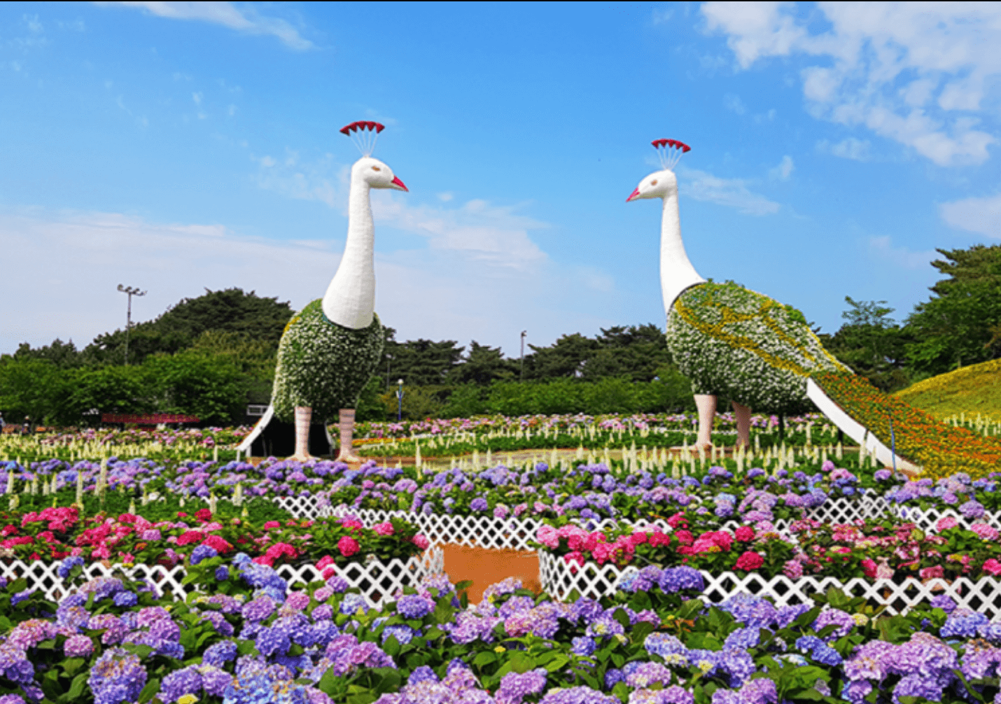 에버랜드 자유이용권