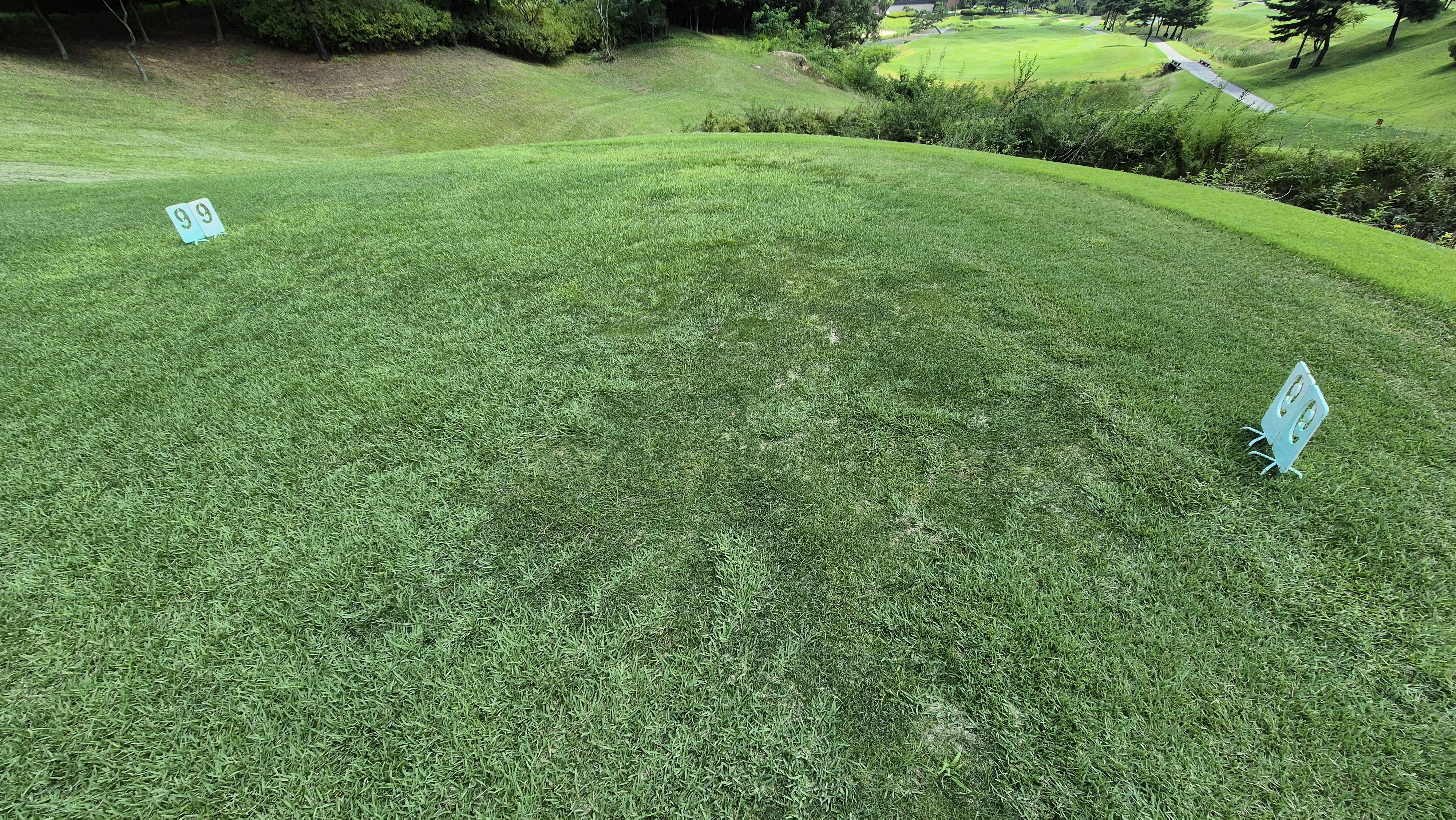 골프존카운티 천안 라운드 후기