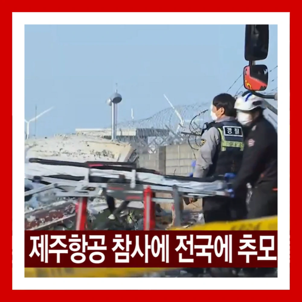 해맞이-행사-취소-전국-울산-부산