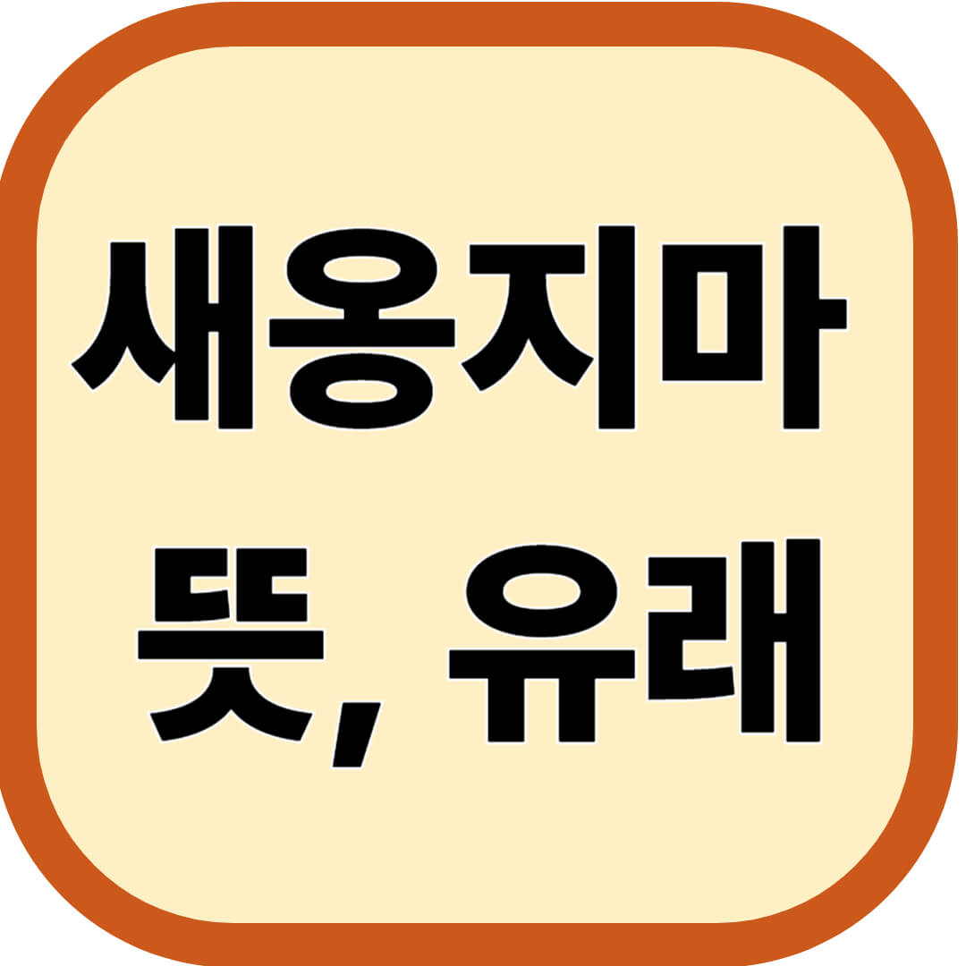새옹지마 뜻, 유래