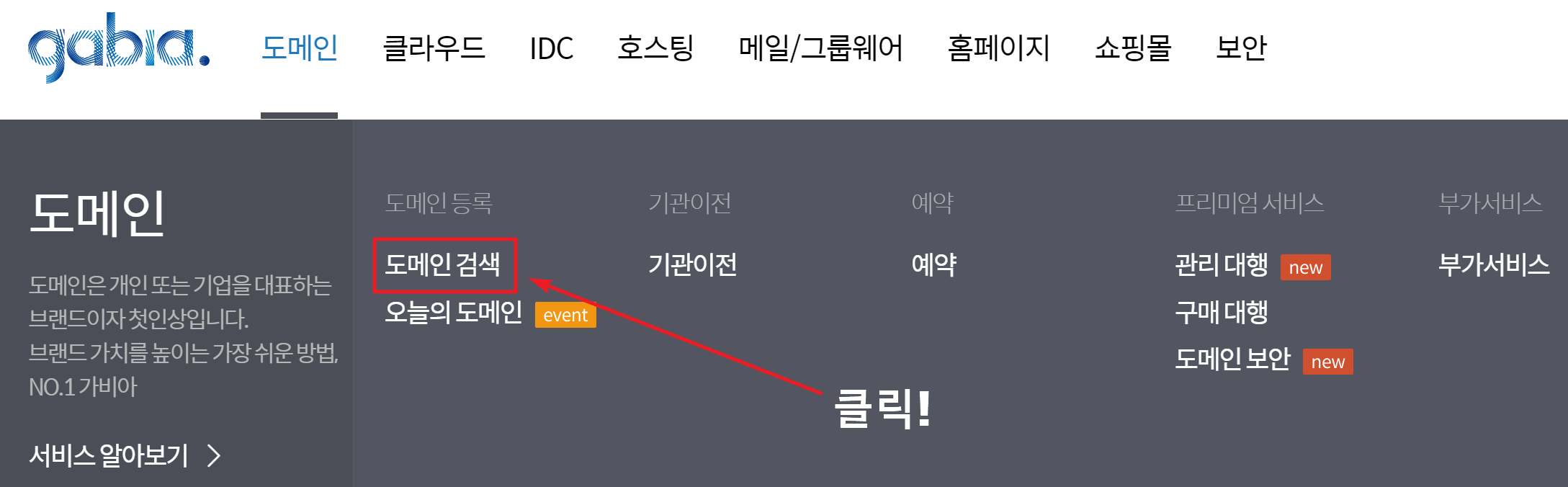 가비아 도메인1