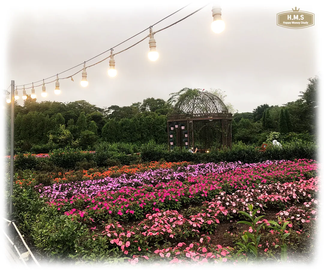 제주도-에코랜드-꽃밭과-조명