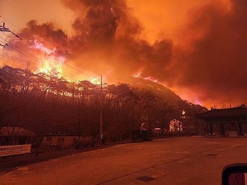 산불 내면 어떤 처벌 받을까? 형벌부터 손해배상까지 반드시 알아야 할 책임 정리
