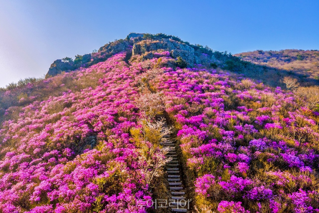 영취산
