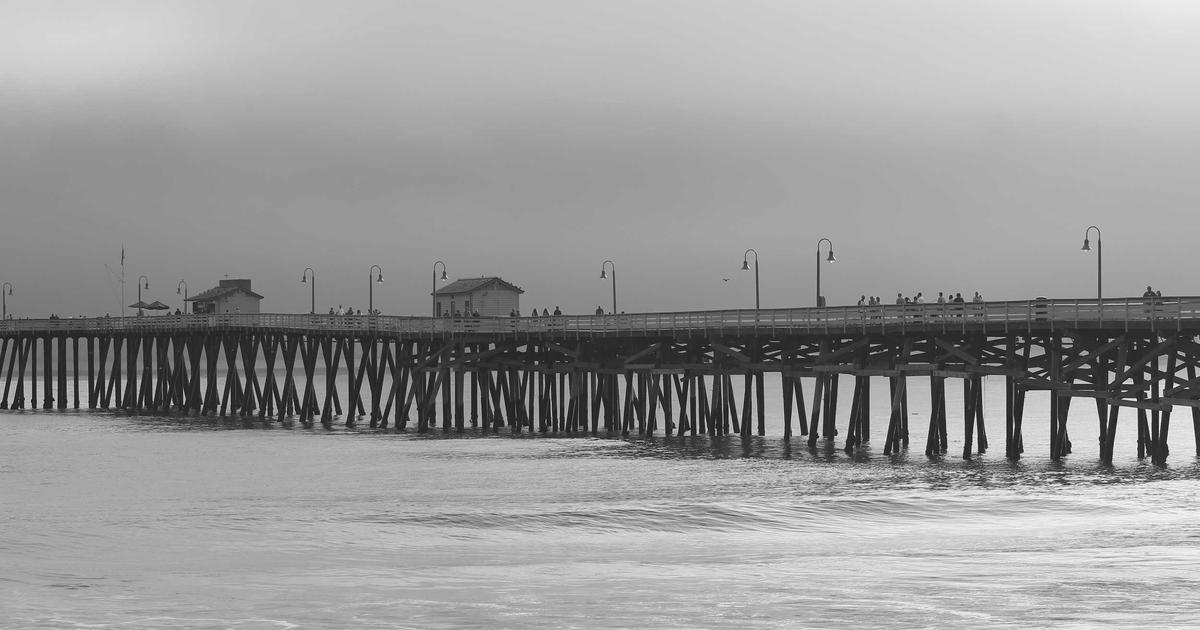 person creating AI art on a laptop with money symbols floating around