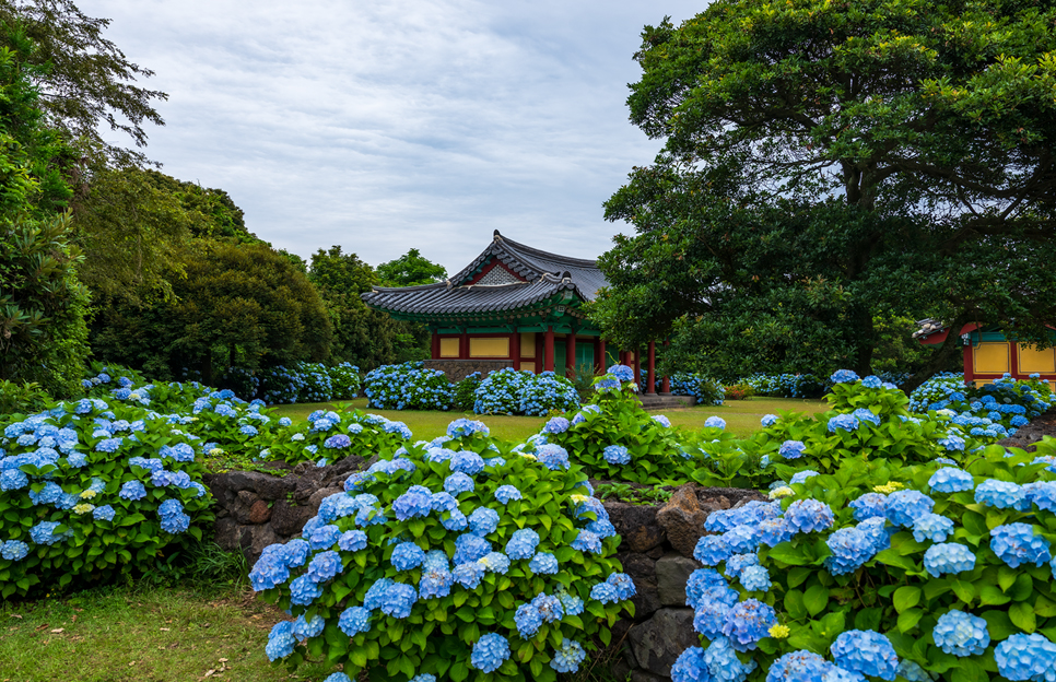 제주 동쪽 가볼만한곳 (혼인지)