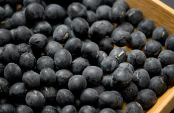 서리태 가격 및 효능&amp;#44; 영양성분 