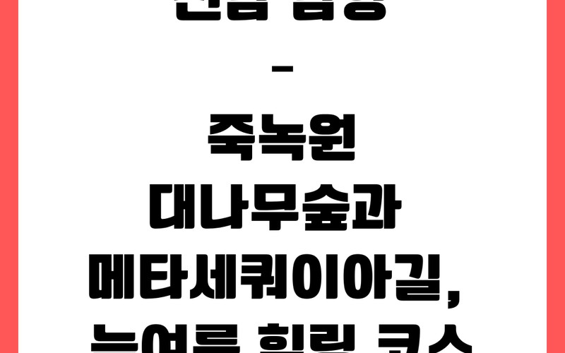 전남 담양 – 죽녹원 입장료와 8개 산책 코스·메타세쿼이아길 연계 팁 정