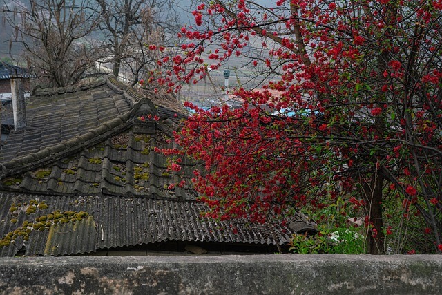 고향사랑기부제 연말정산 세액공제