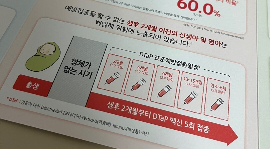 백일해 예방접종 일정