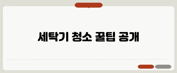 세탁기청소 후기 바로 적용 가능한 정보