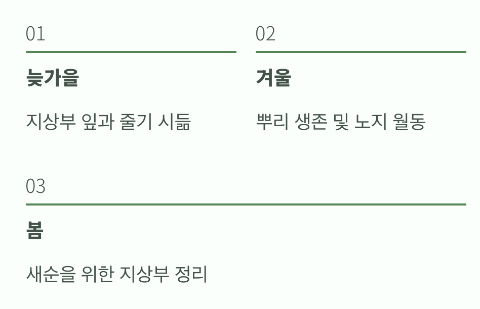 겨울, 그리고 새로운 약속