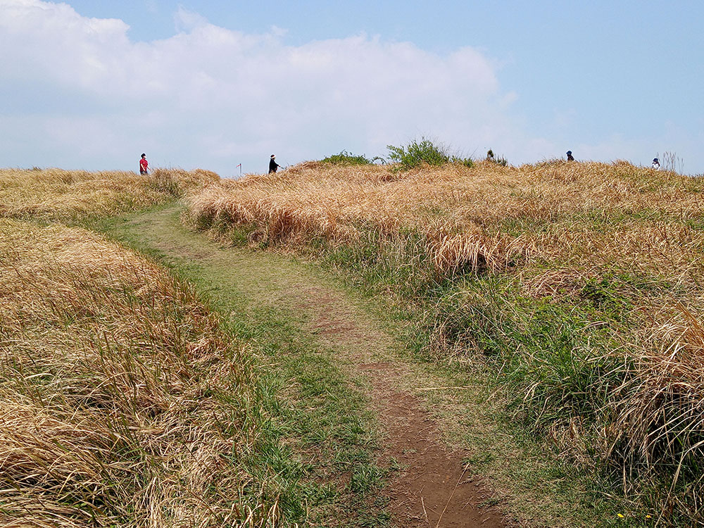 올레길 10코스: 평화를 바라는 '바람'길