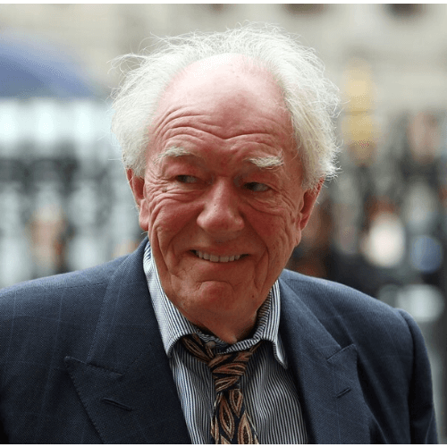 덤블도어 마이클 갬본 사망