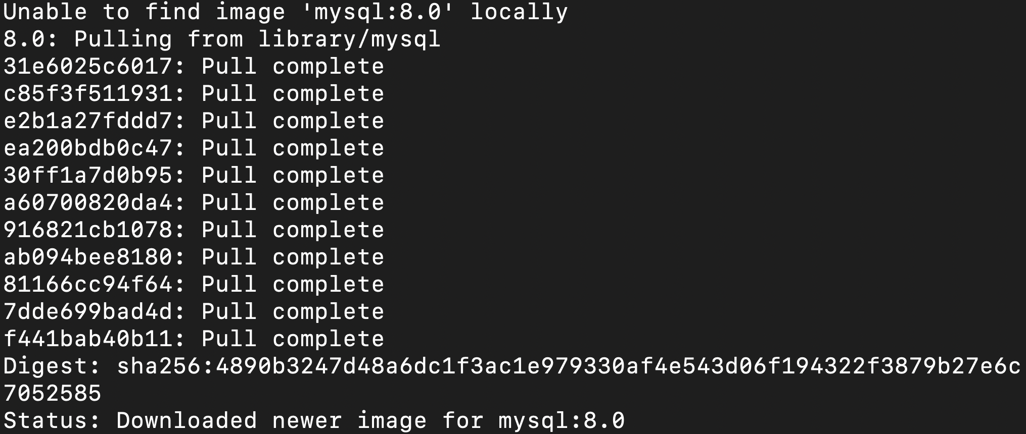 MySQL 컨테이너 실행 성공한 모습이다.