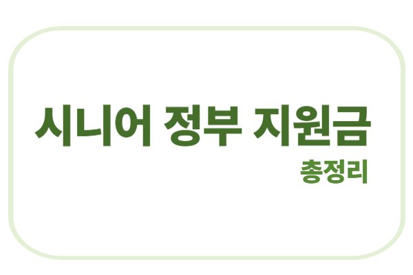 시니어 정부 지원금 총정리에 관한 표어 이미지