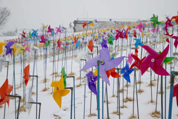 평화와 화해의 공간 ‘파주 임진각 평화누리’ 출처 : 서울일보(http://www.seoulilbo.com) 2024년 방송한 드라마 ‘나의 해리에게’는 신혜선(은호 역)과 이진욱(현오 역) 주연의 행복 로맨스 드라마다. 출처 : 서울일보(http://www.seoulilbo.com)