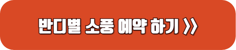 반디별-소풍-예약-링크-버튼