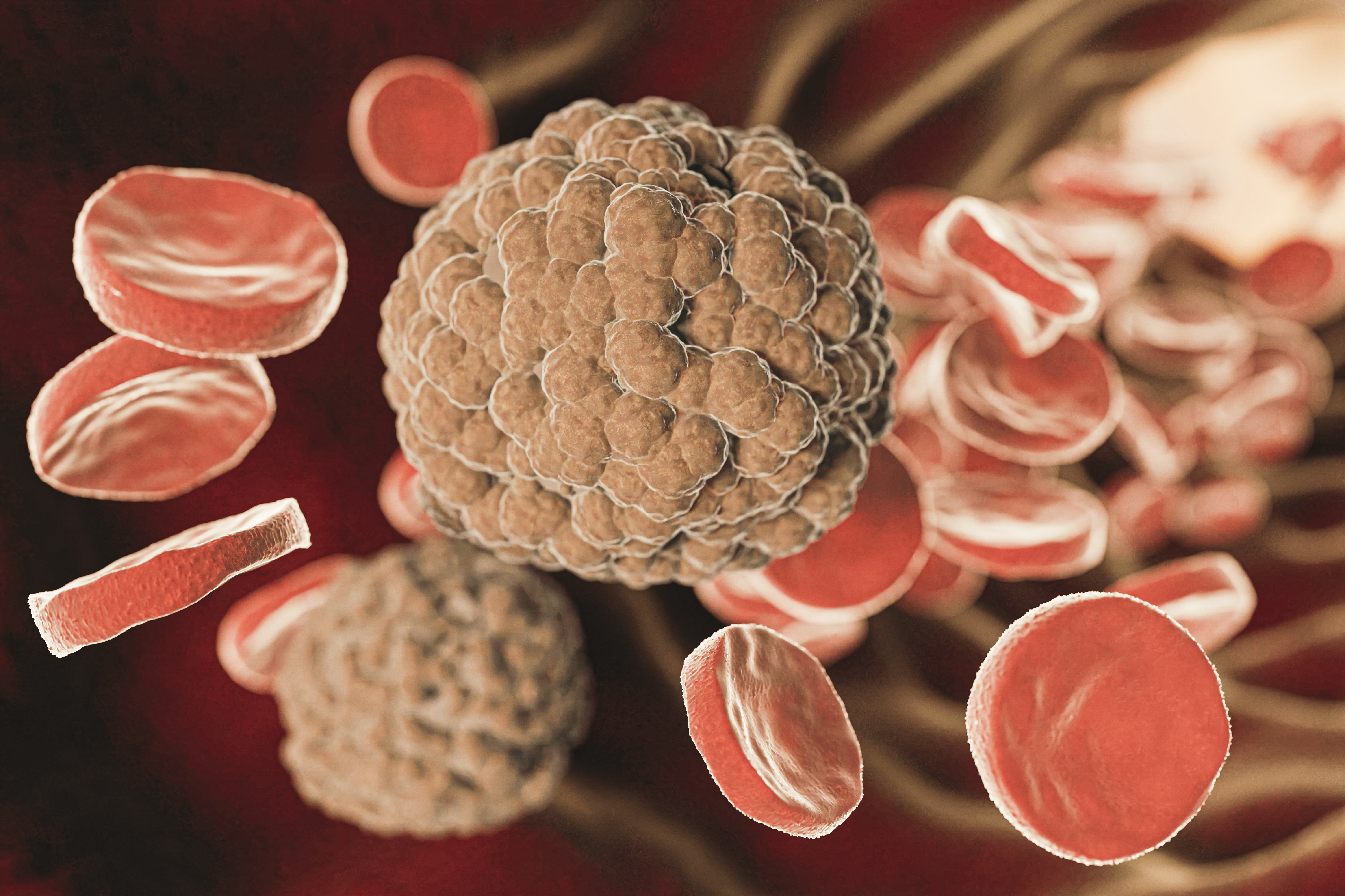 혈관 건강 지키는 식단