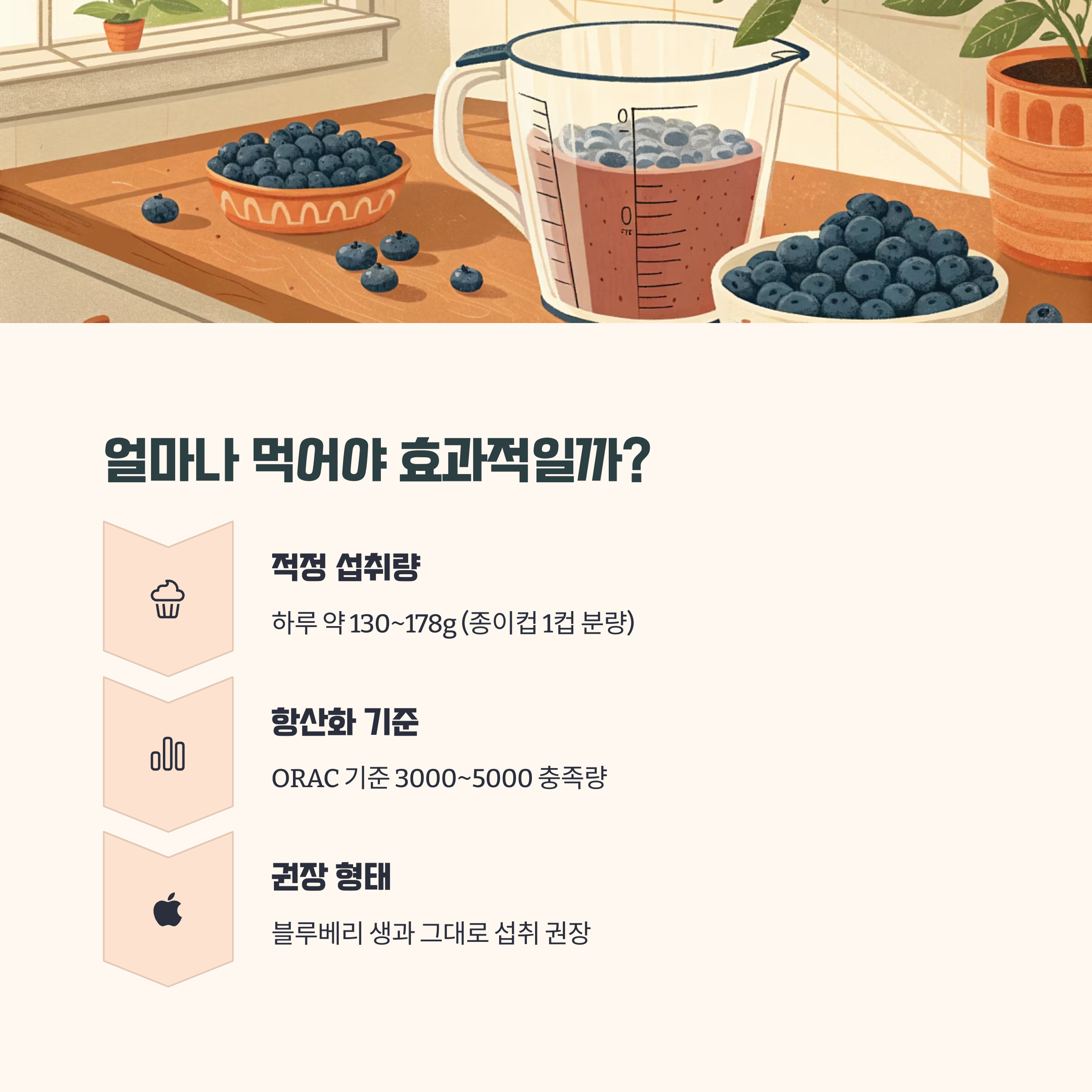 일일 섭취량 가이드 - 효과적인 뇌 건강을 위한 블루베리 복용량
