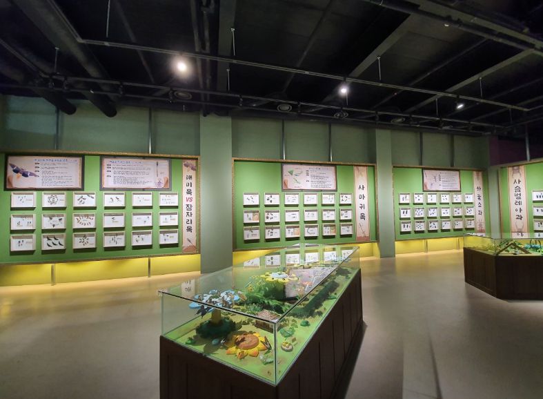 여주 곤충박물관