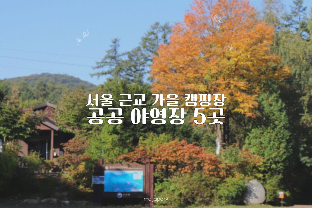 서울 근교 가을 캠핑장 국립 공공 야영장 추천 5곳