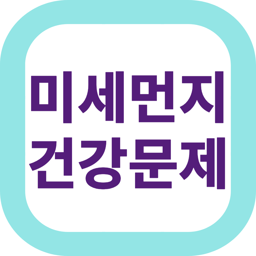 미세먼지 건강문제