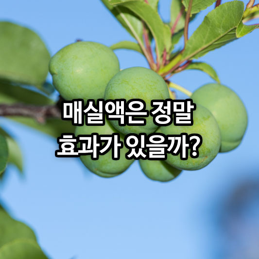 매실액, 정말 효과가 있을까
