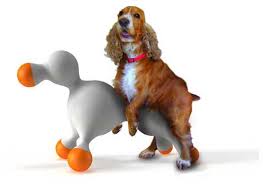 마운팅인형에 마운팅하는강아지사진