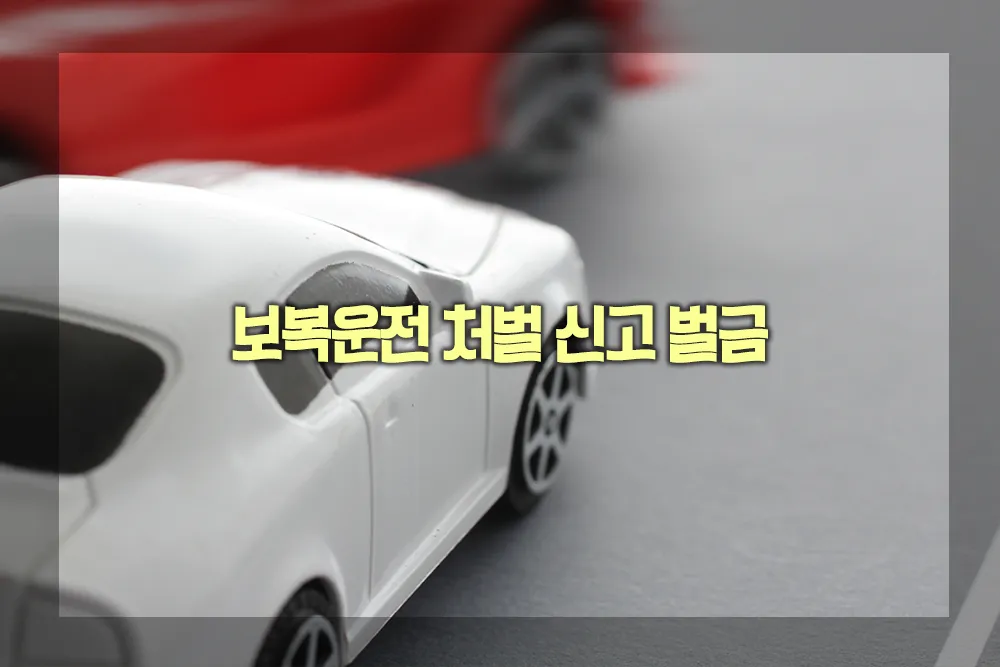 보복운전 처벌 신고 벌금
