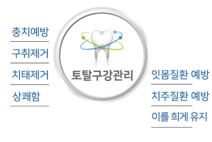 치약 추천 순위 TOP 7 - 네이버, 쿠팡, 올리브영 판매 순위 분석