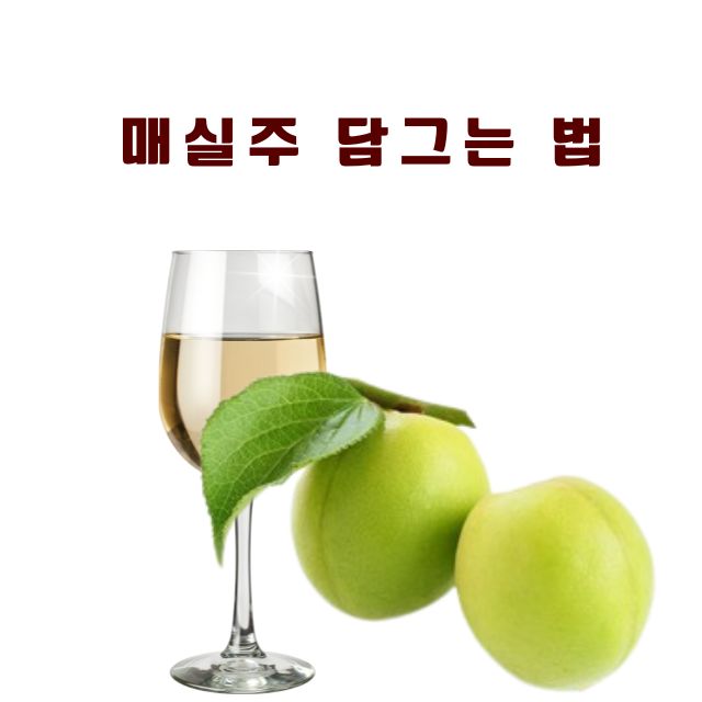 매실주 담그는 법