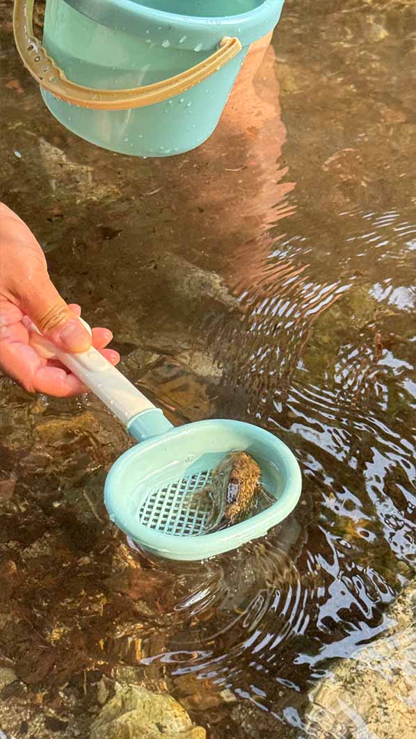 계곡 물놀이 준비물_모래놀이장난감