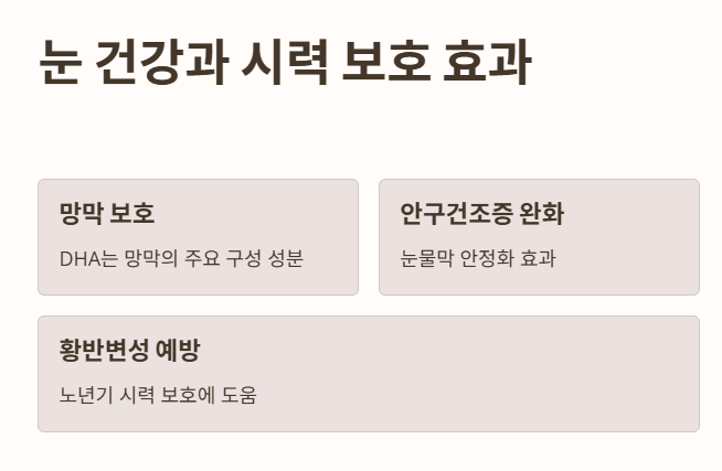 하이퍼셀 오메가3 효능 2: 눈 건강과 시력 보호 효과