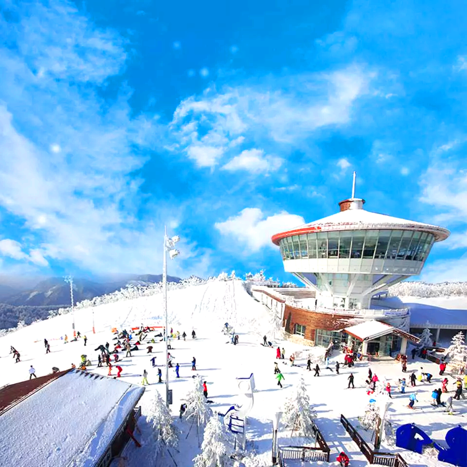 하이원 리조트 리프트권